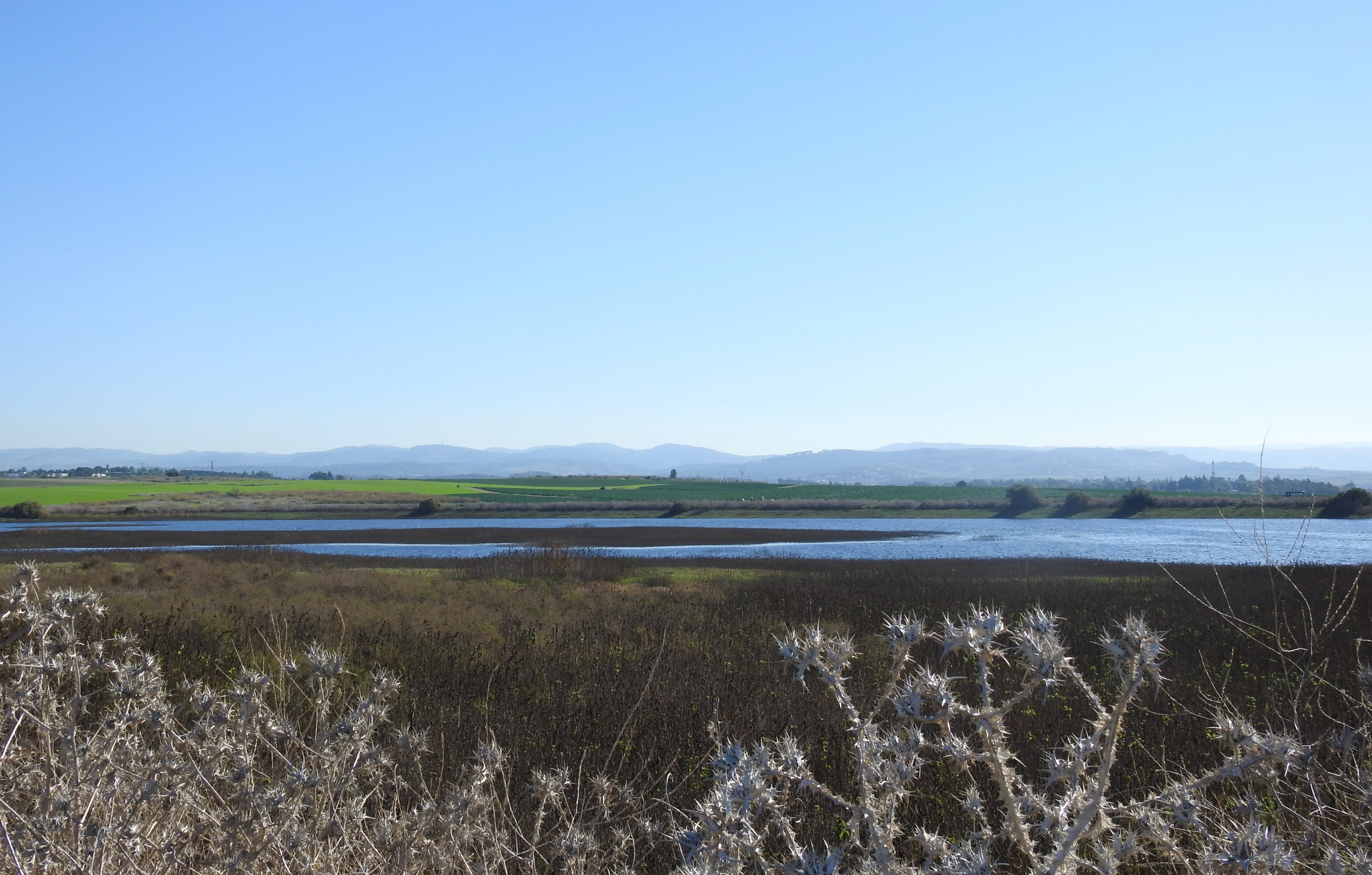 A final parting look at Hulda's wild reservoir