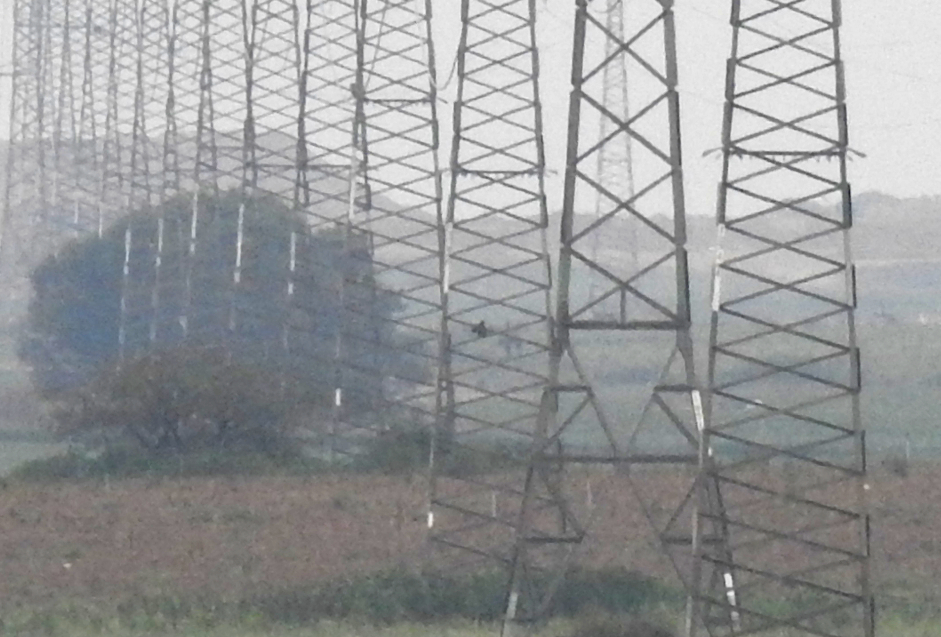 An unidentifiable blob