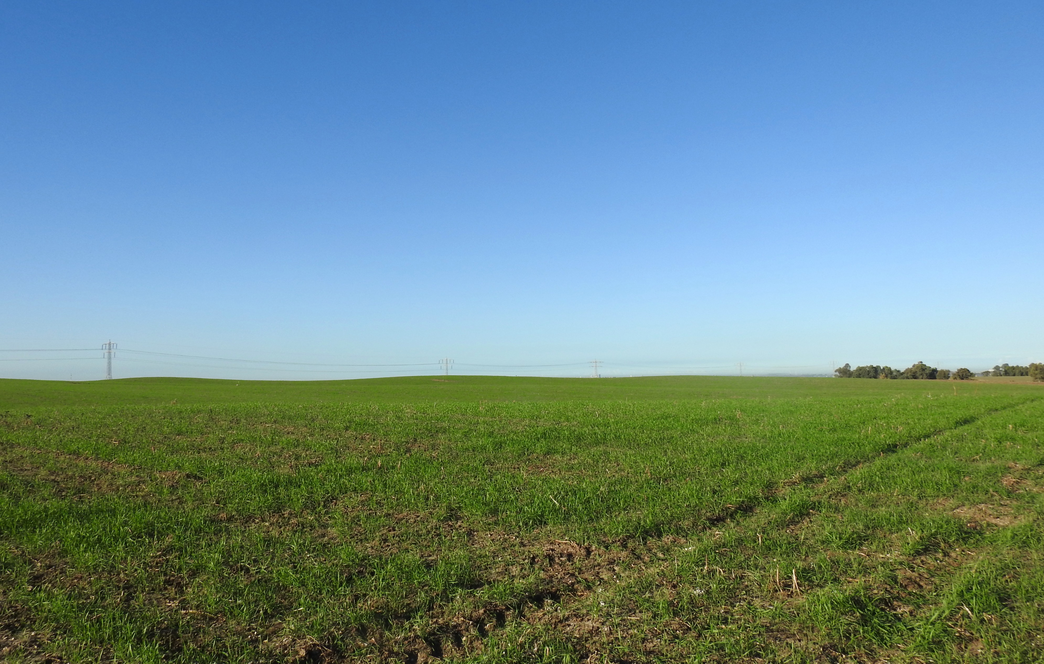 Green fields outside Hulda