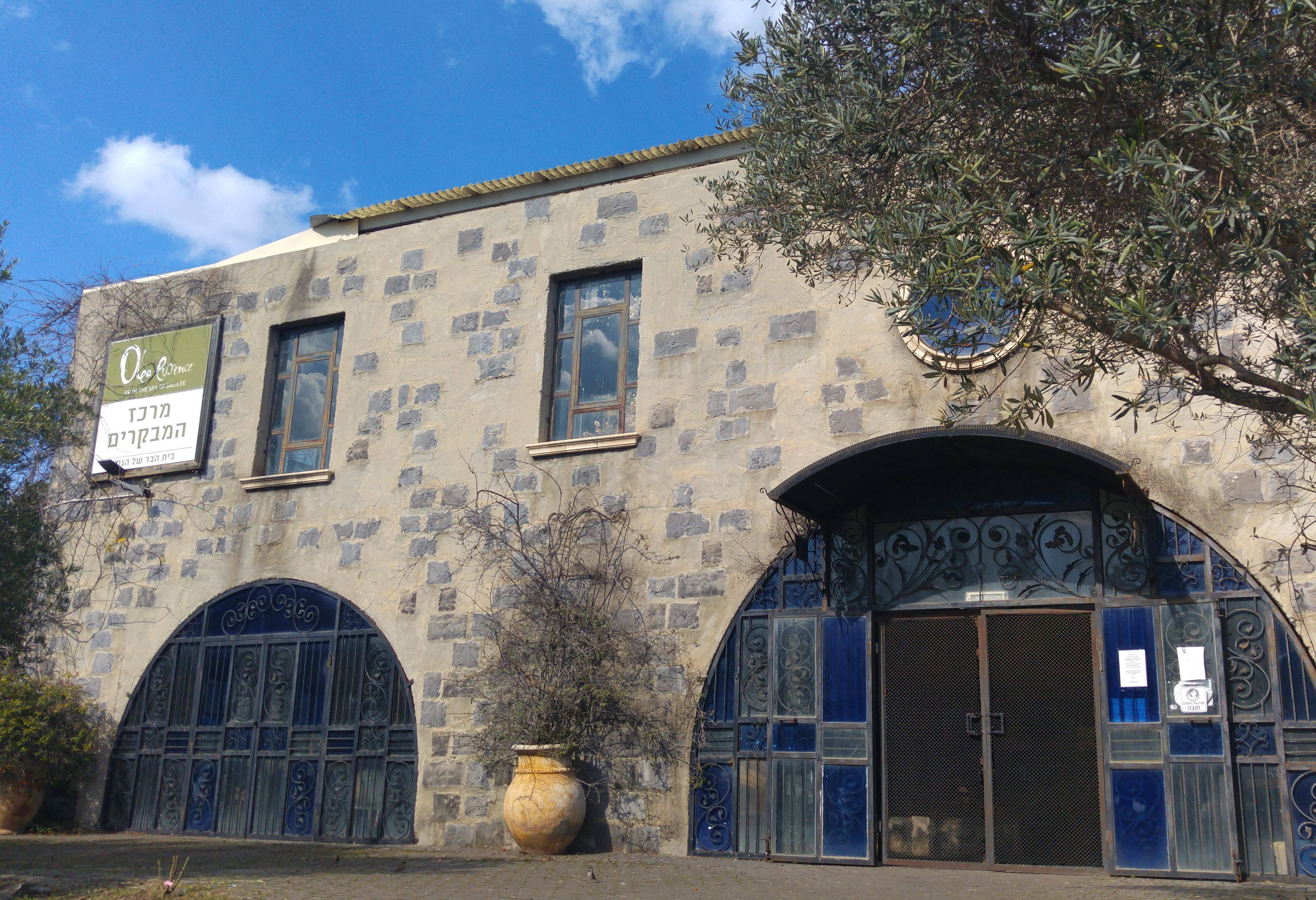 Olea Essence olive oil factory in Qatsrin