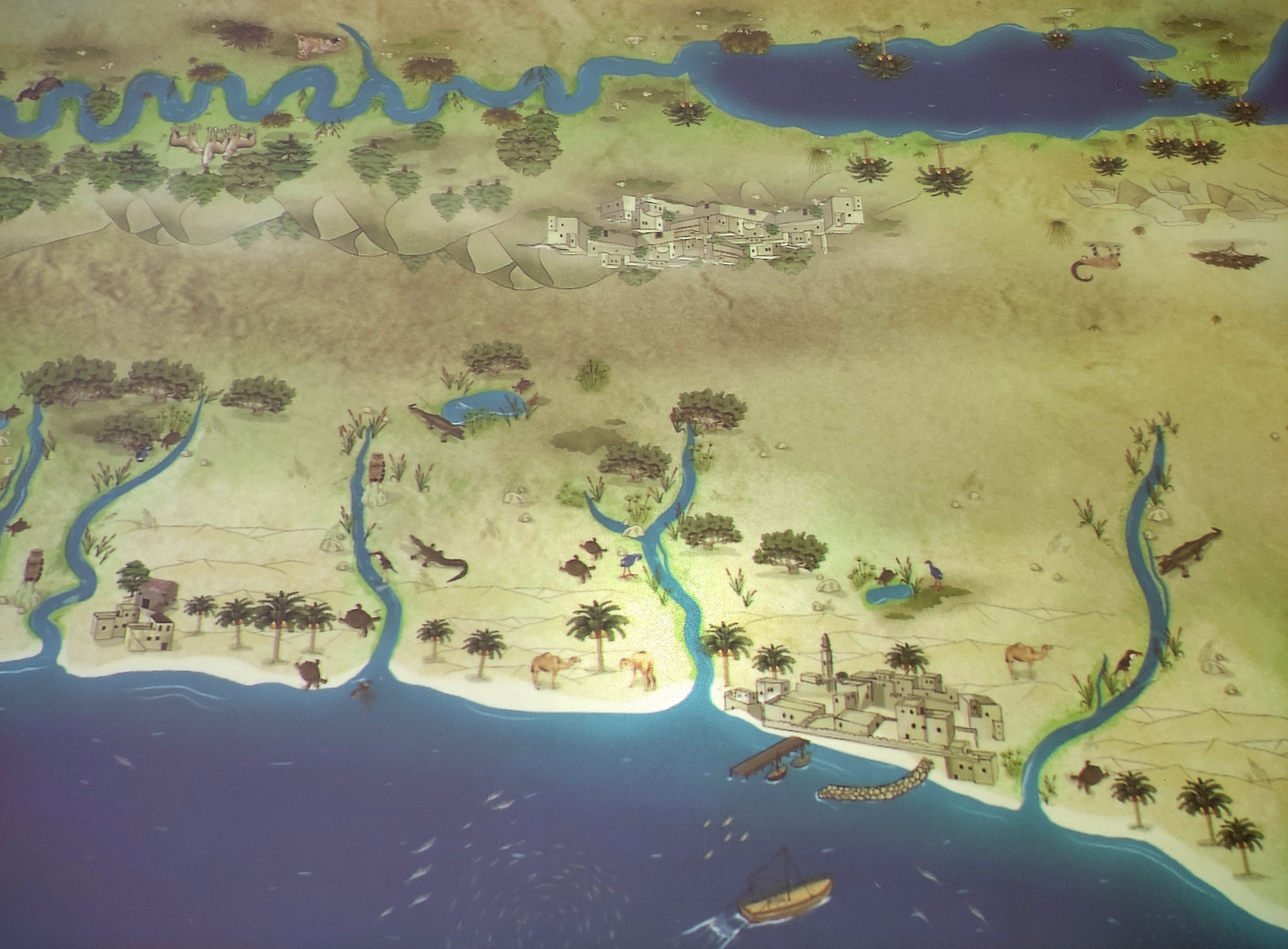 A glimpse into the past