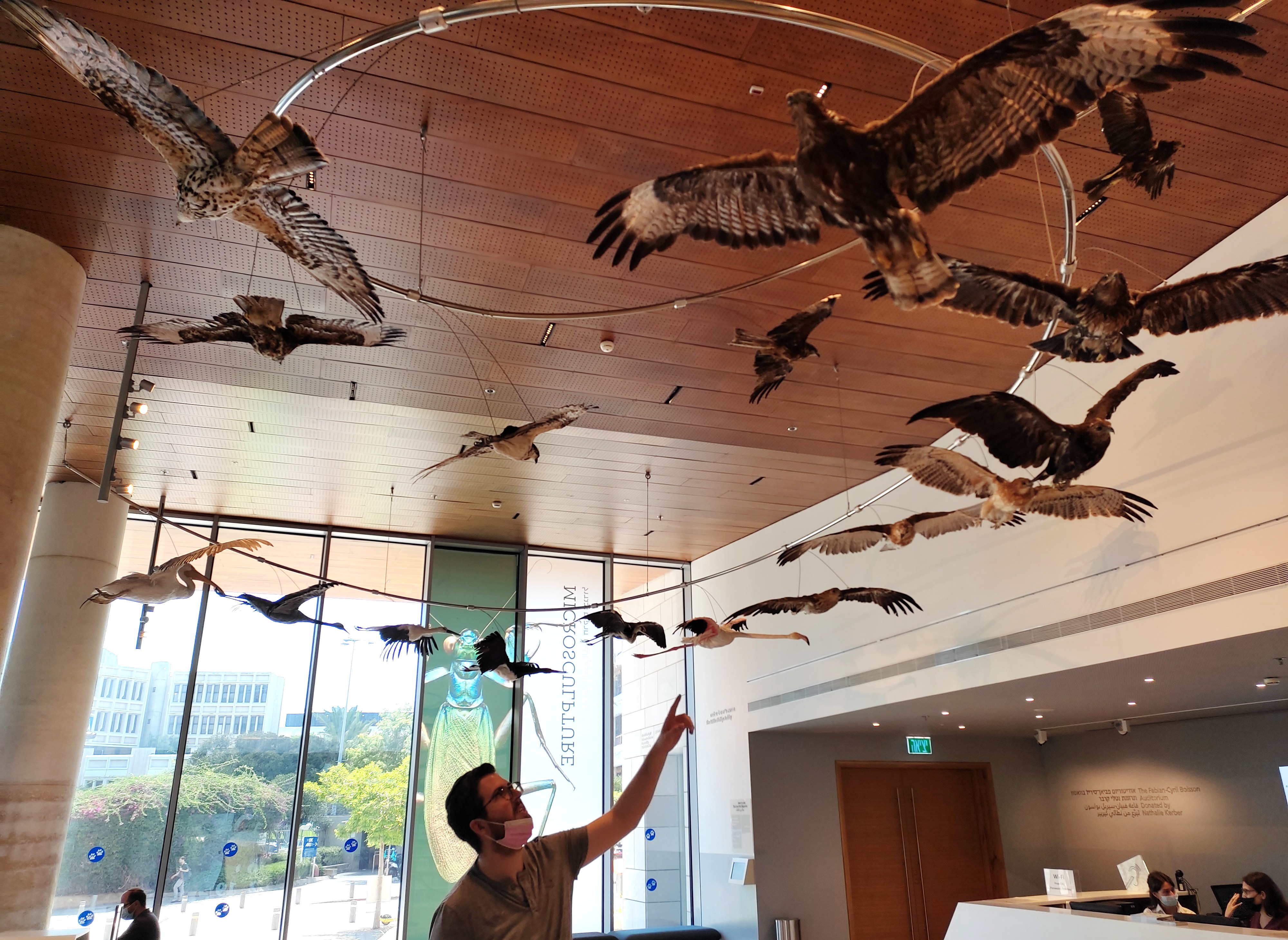 Picking out my favourite raptor