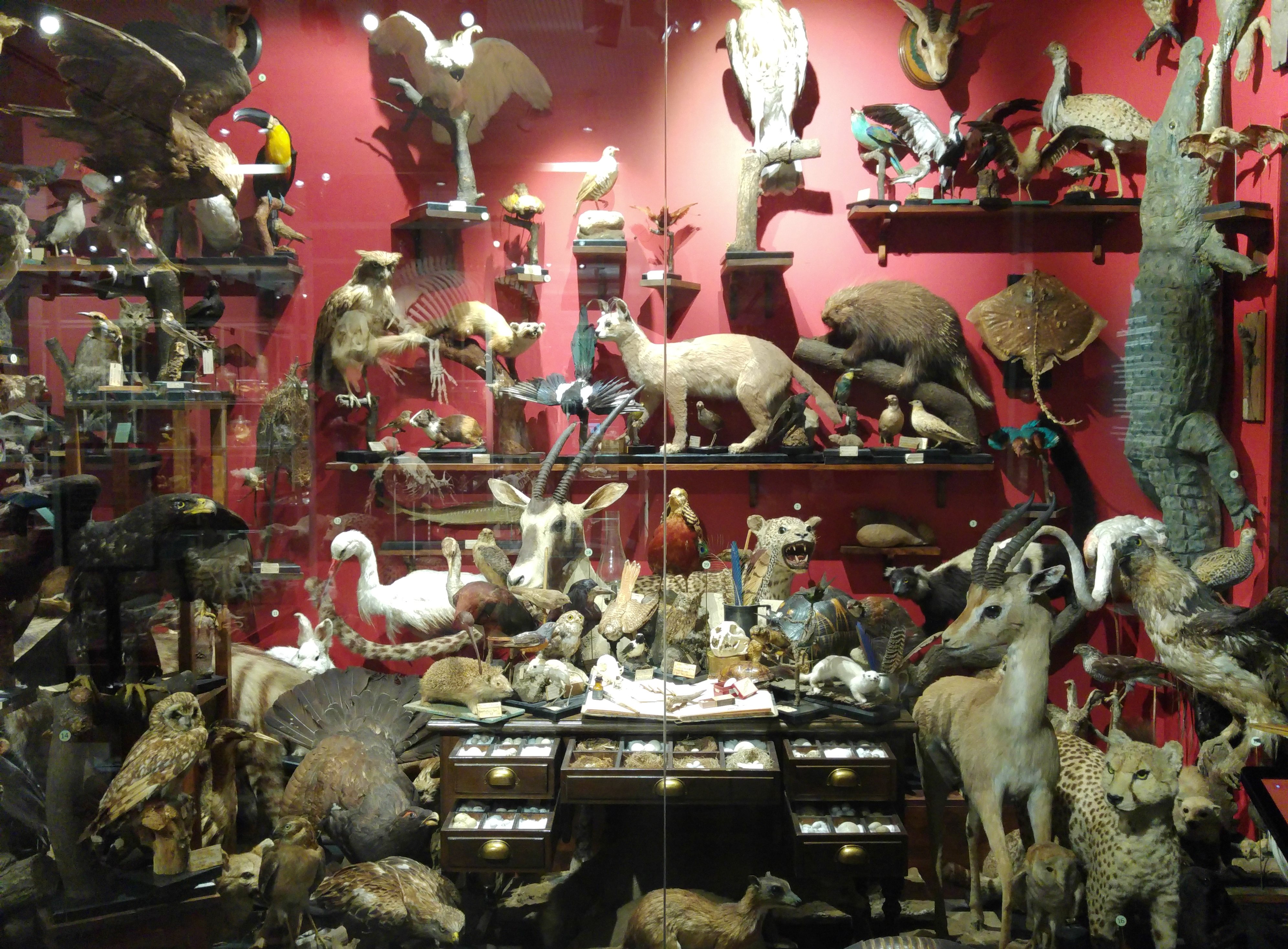 The Ernst Johann Schmitz collection