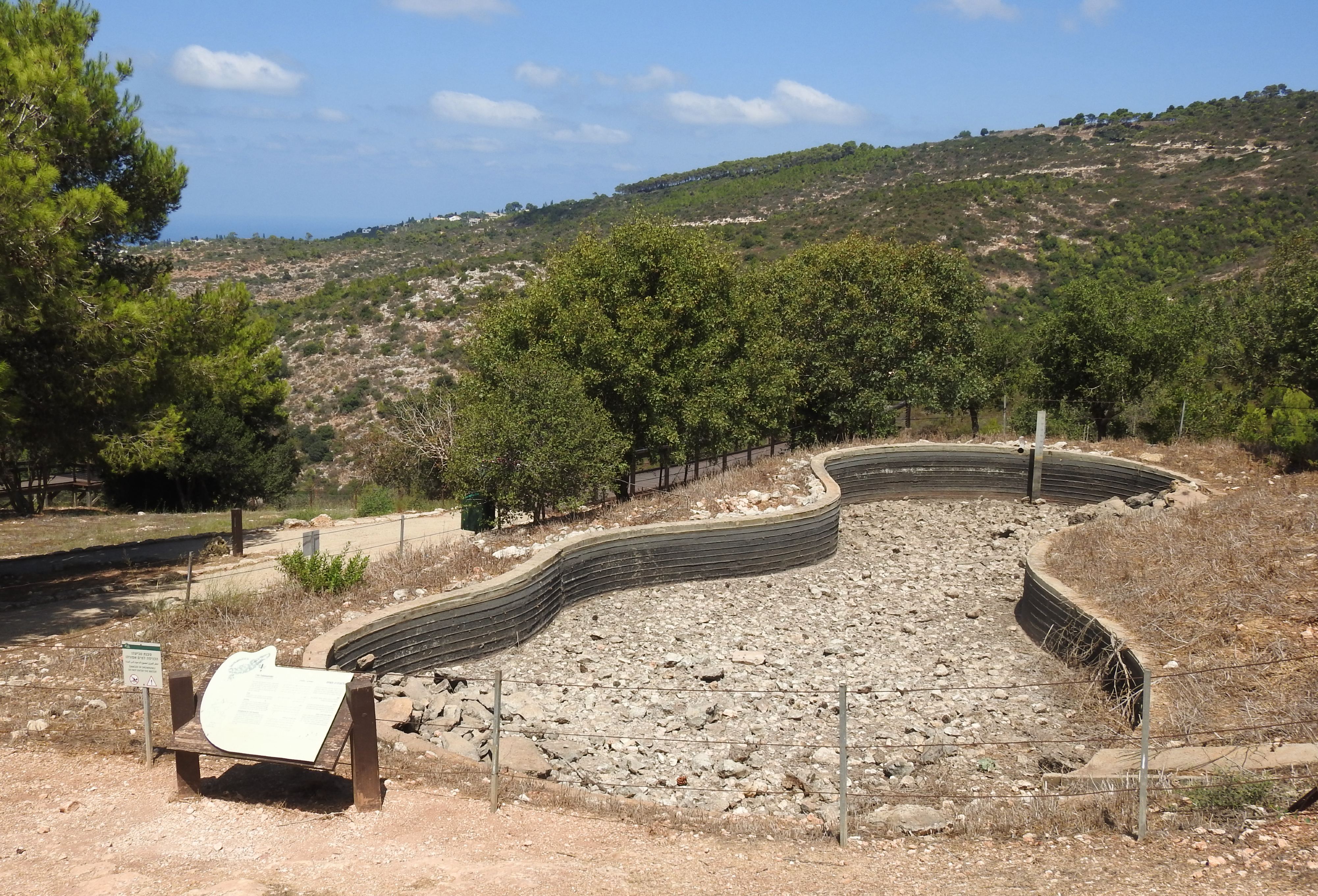 The dried fire salamander breeding pool