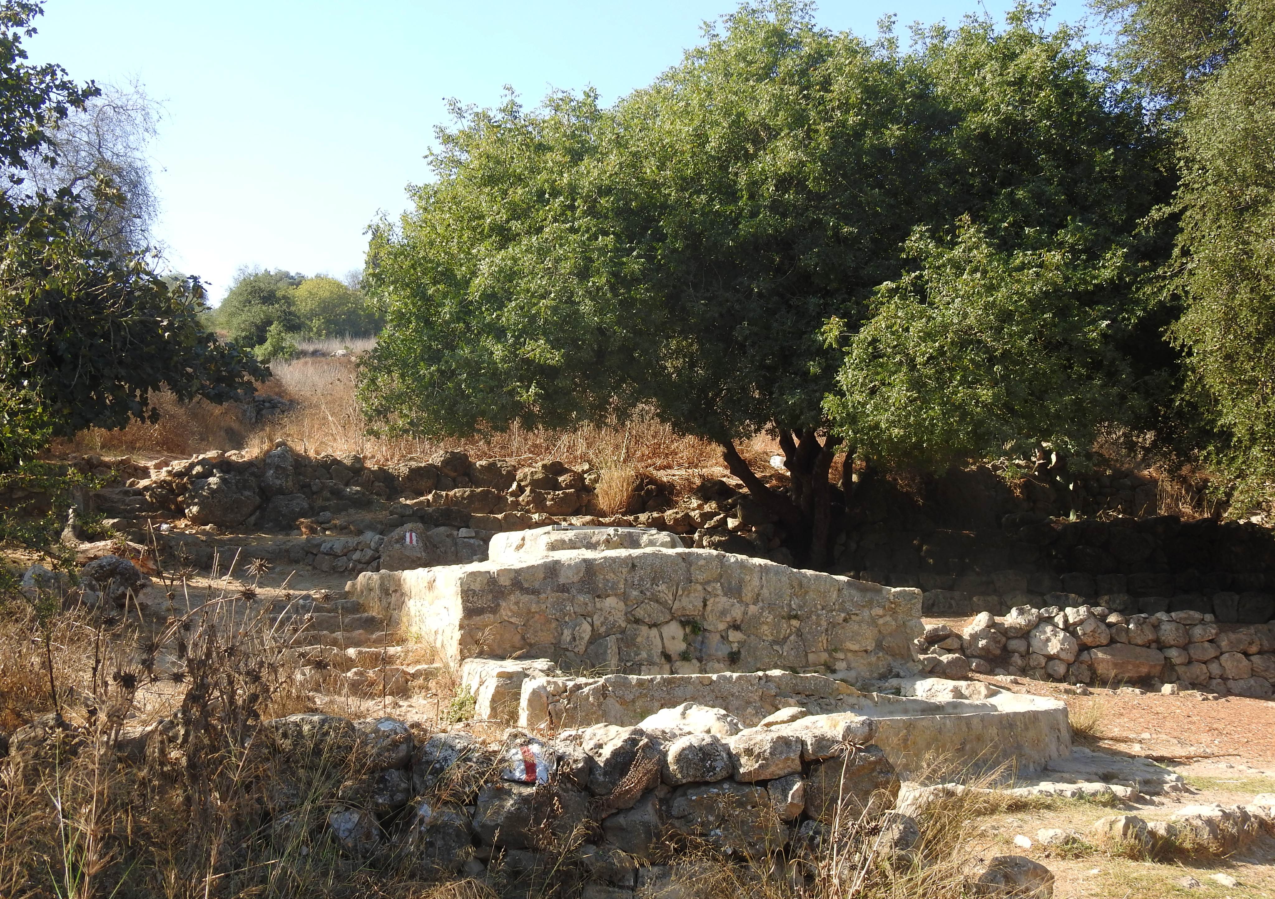 The springs of Ein Hod