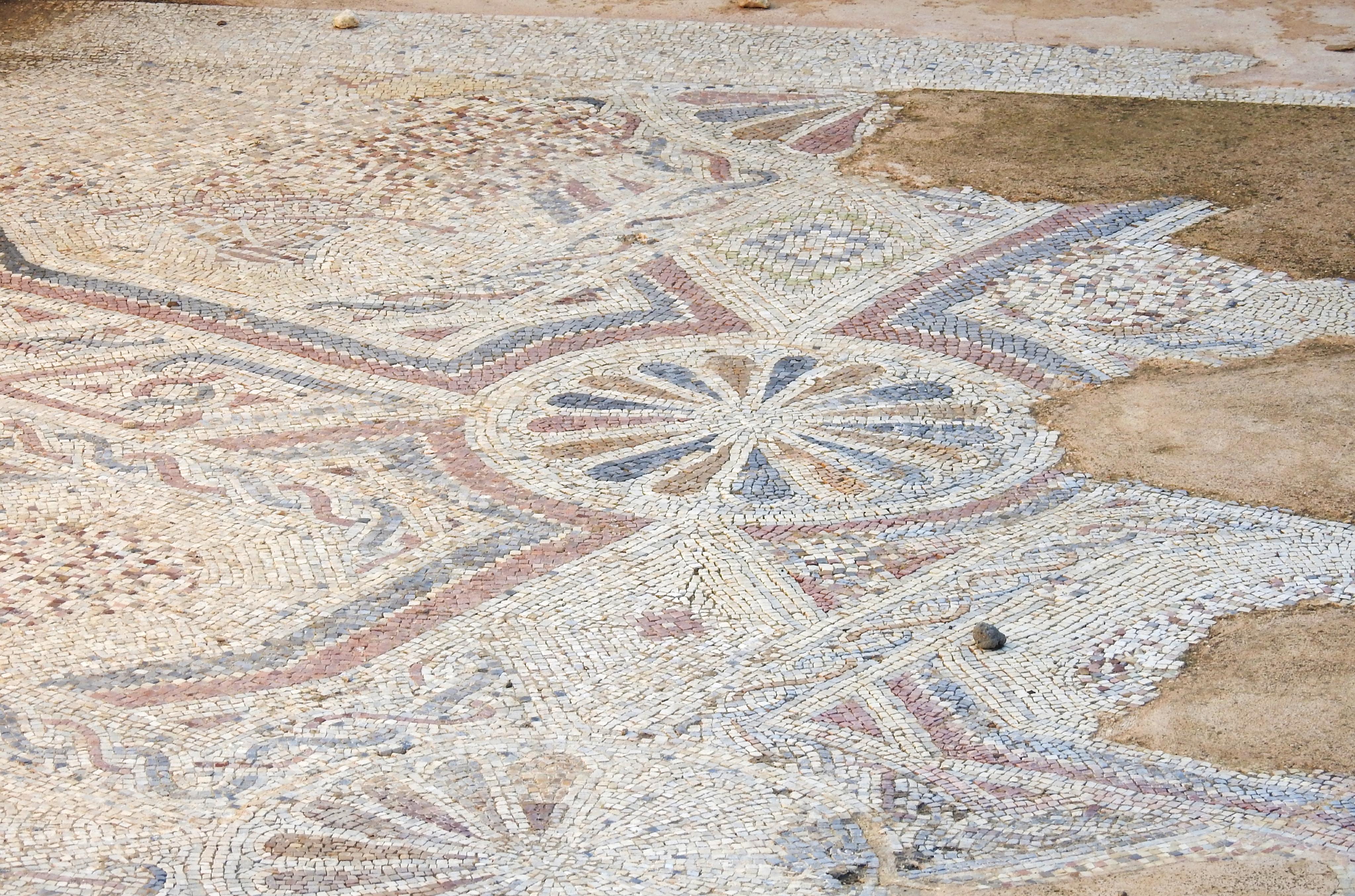 Detail of the Byzantine mosaic floor