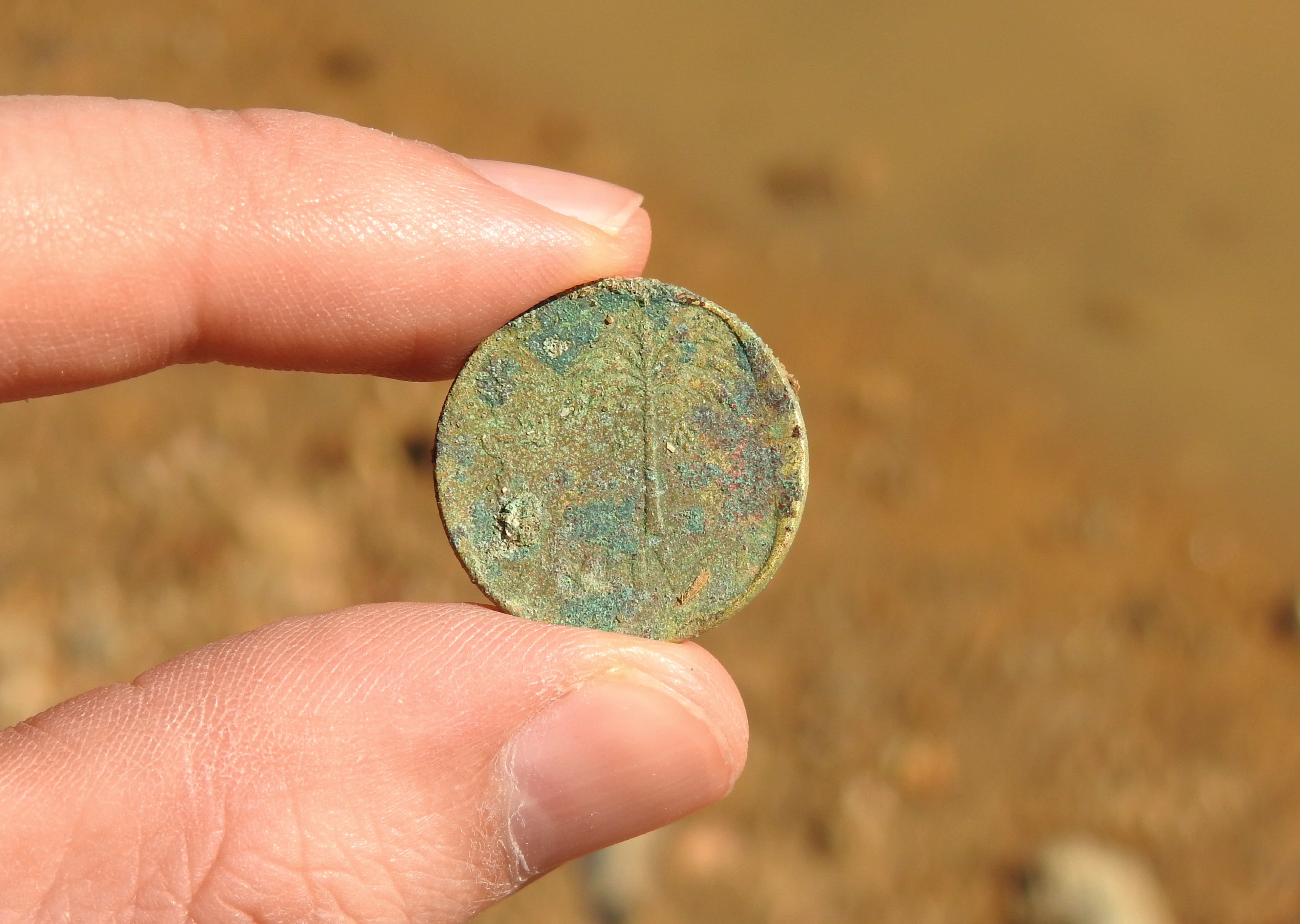 Some old Israeli coin