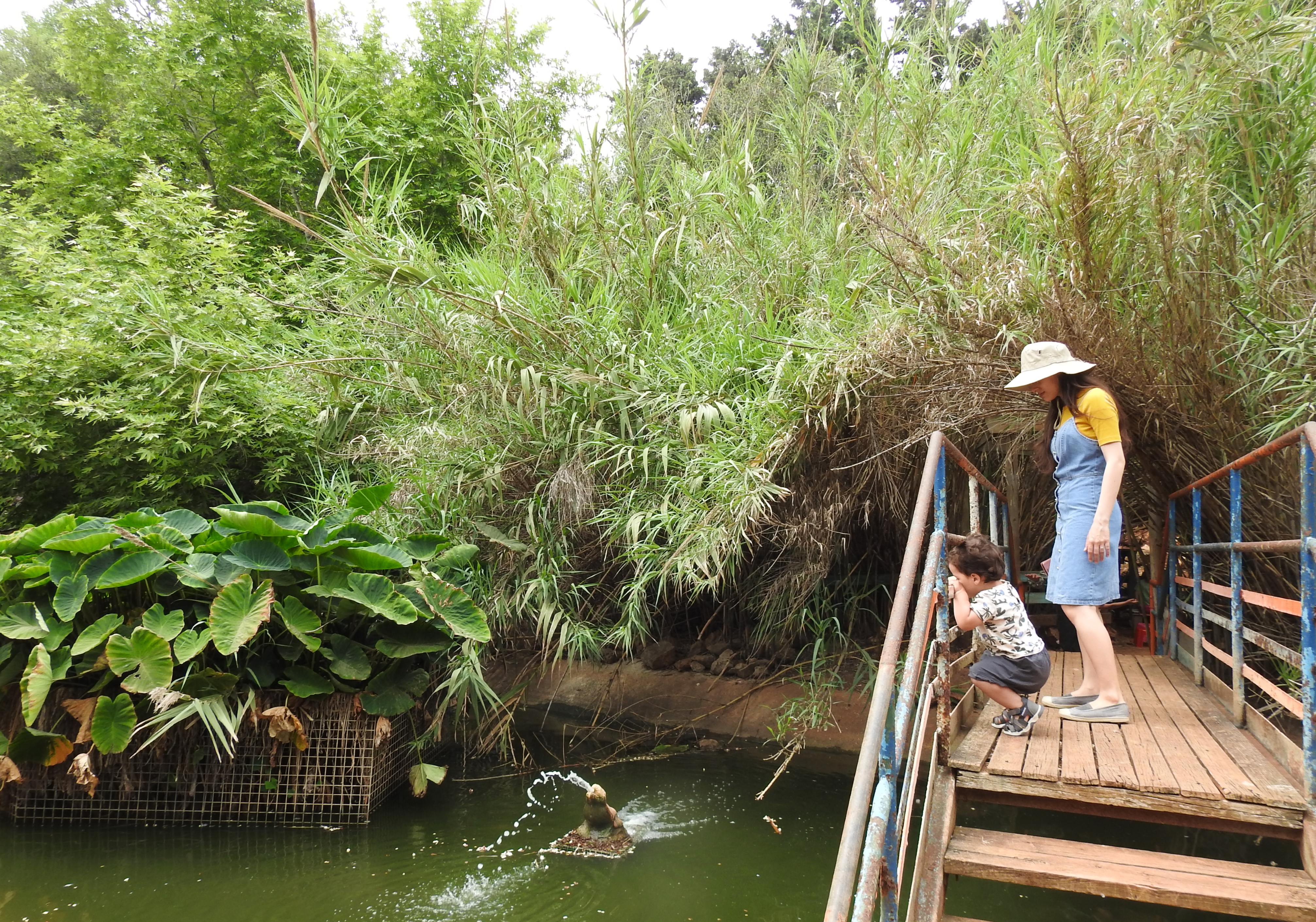 Captivated by the water jet