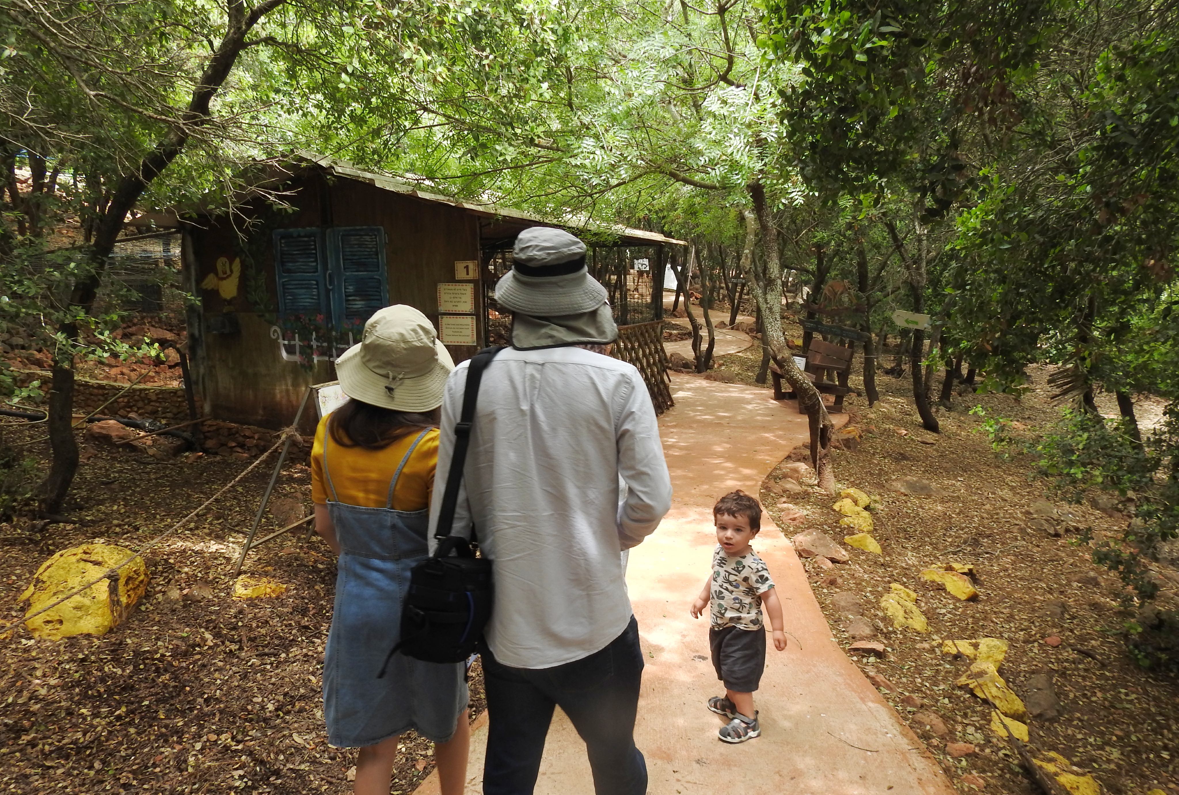 Entering the Yodfat Monkey Forest