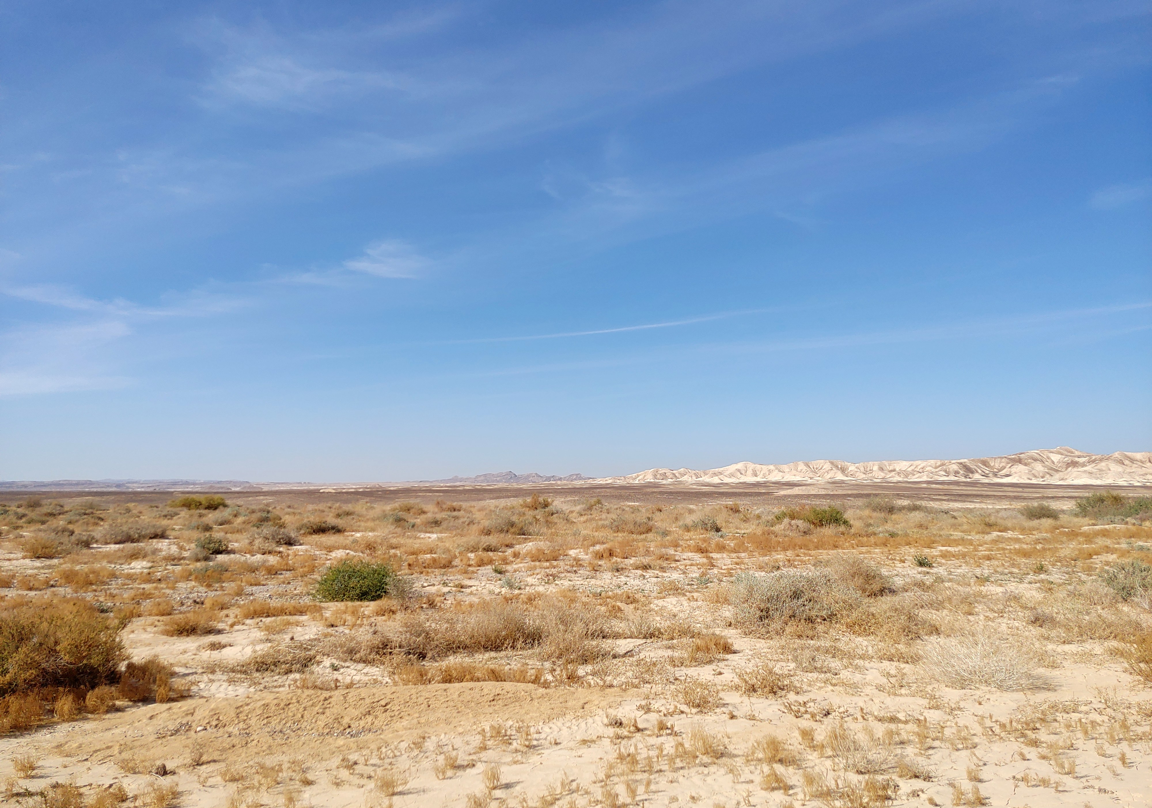 Open desert expanses at Nachal Hemda